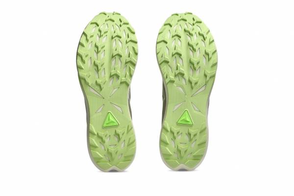 ASICS Fuji Lite 6 (Herren)