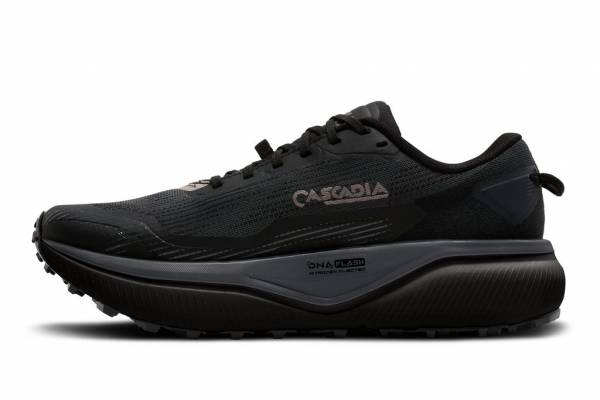 BROOKS Cascadia 20 GTX (Herren)
