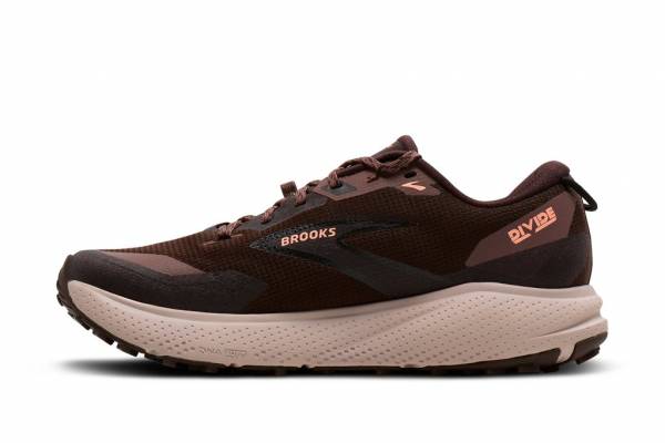 BROOKS Divide 6 GTX (Damen)