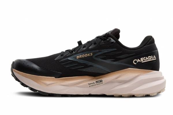 BROOKS Cascadia 19 GTX (Herren)