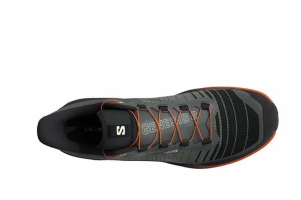 SALOMON Genesis 2 (Herren)