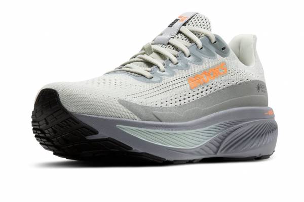 BROOKS Ghost 17 GTX (Herren)
