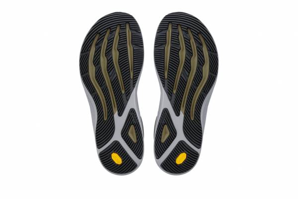 ALTRA Torin 9 GTX (Herren)