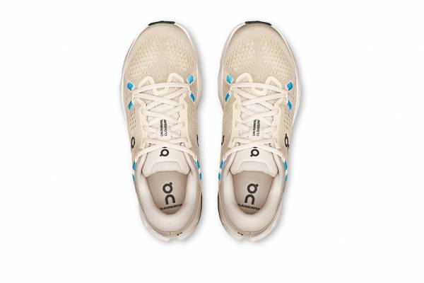 ON Cloudsurfer 2 (Damen)