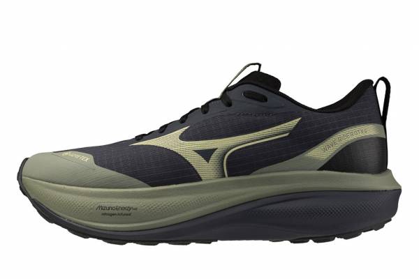 MIZUNO Wave Rider GTX 4 (Herren)