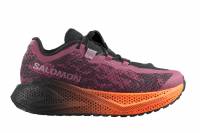 SALOMON Aero Glide 4 Grvl (Damen)