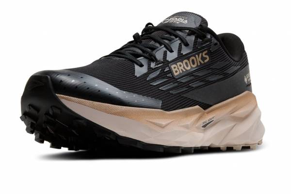 BROOKS Cascadia 19 GTX (Herren)