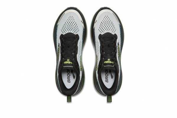 BROOKS Cascadia 20 (Herren)