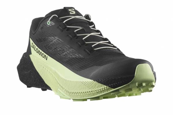 SALOMON Pulsar (Herren)