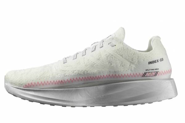 SALOMON Index.03