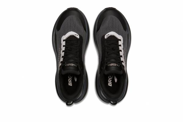 BROOKS Cascadia 20 GTX (Herren)