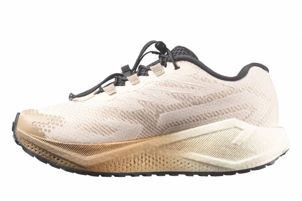 SALOMON Aero BLaze 4 Grvl (Damen)