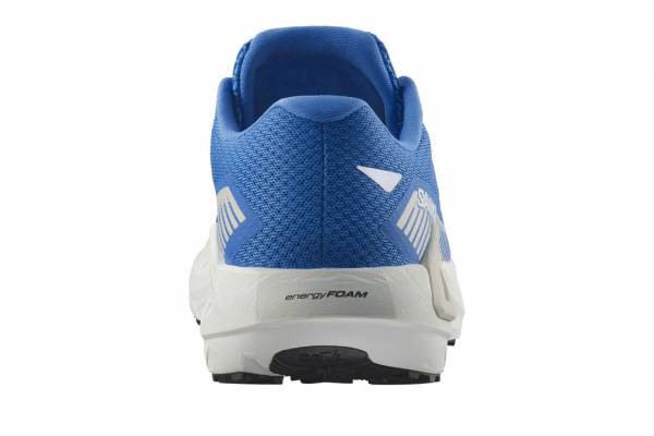 SALOMON DRX Defy GRVL (Herren)