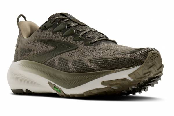 BROOKS Ghost Trail (Herren)