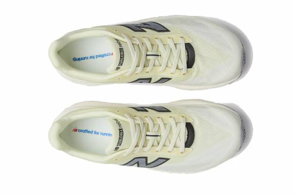 NEW BALANCE FuelCell Rebel v5 (Herren)