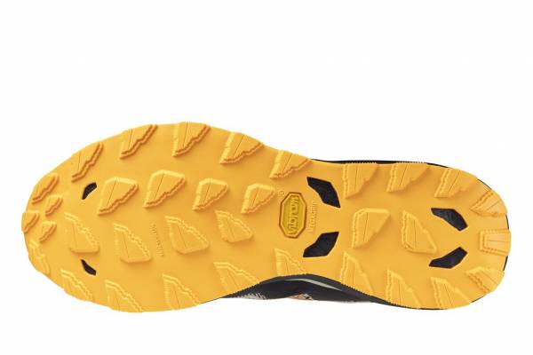 MIZUNO Wave Daichi 9 (Herren)