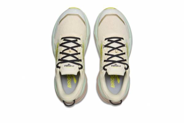 BROOKS Cascadia 19 (Damen)