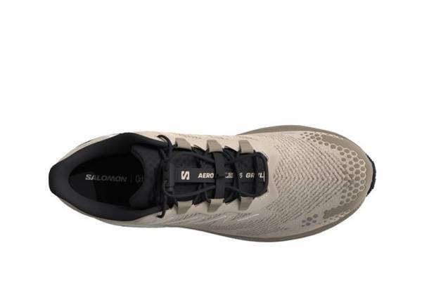 SALOMON Aero BLaze 4 Grvl (Herren)