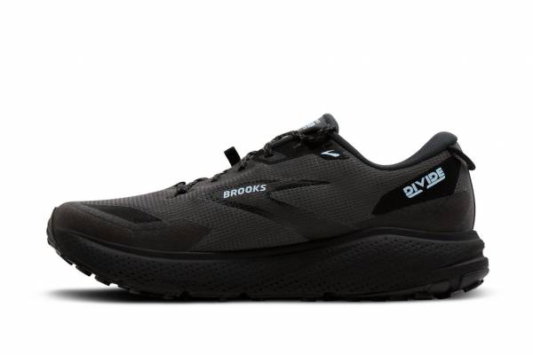 BROOKS Divide 6 GTX (Herren)
