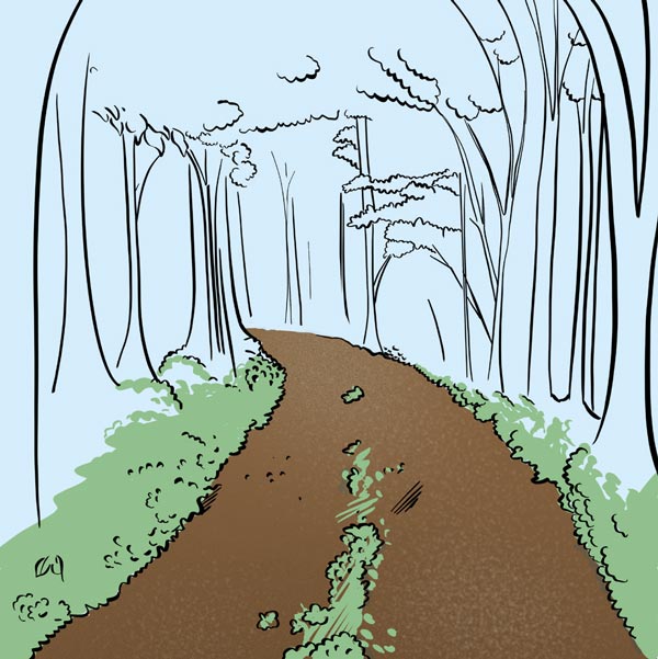 Trail