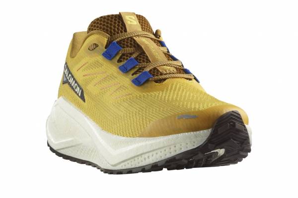 SALOMON Aero Blaze 3 GRVL (Herren)