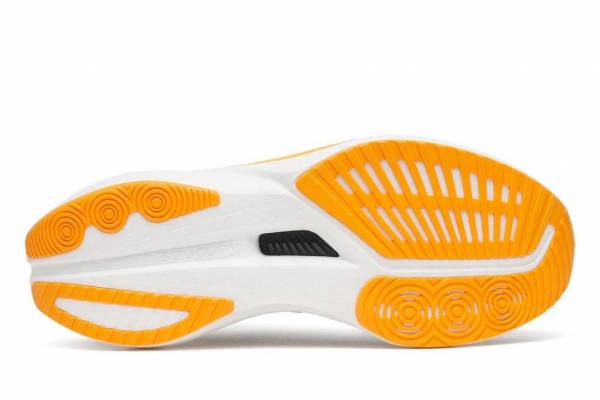 SAUCONY Endorphin Speed 5 (Herren)