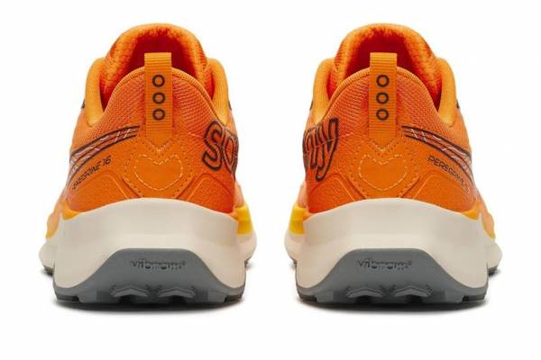 SAUCONY Peregrine 16 (Herren)