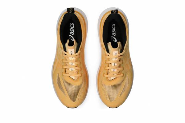 ASICS Glideride Max 2 (Herren)