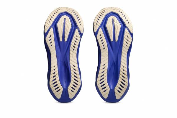 ASICS Novablast 5 (Damen)