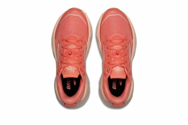 BROOKS Cascadia 19 (Damen)