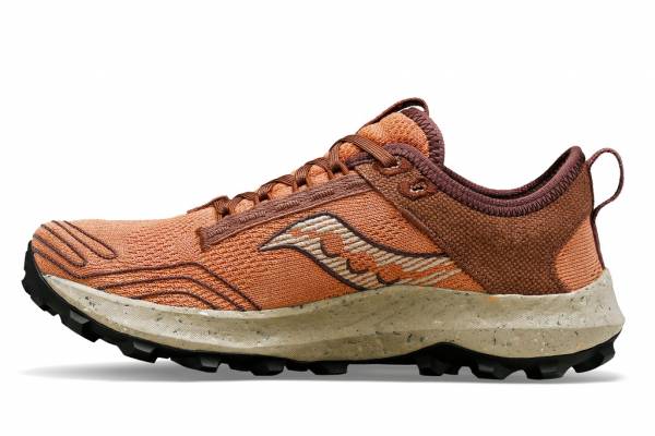 SAUCONY Peregrine RFG (Damen)