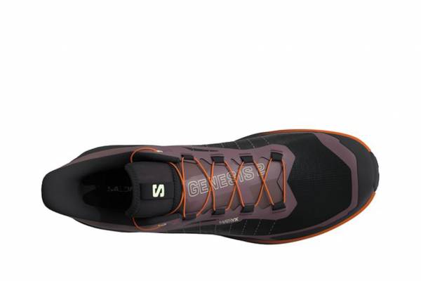 SALOMON Genesis 2 (Damen)