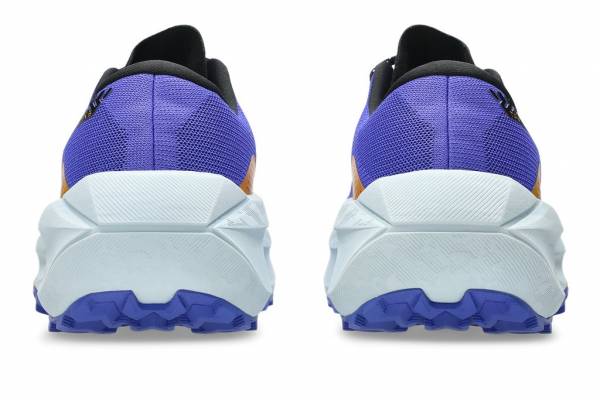 ASICS Trabuco Max 5 (Herren)