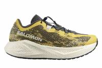 SALOMON Aero Glide 4 Grvl (Herren)