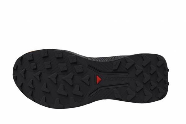 SALOMON Genesis 2 (Herren)