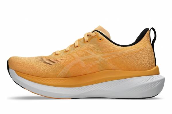 ASICS Glideride Max 2 (Herren)