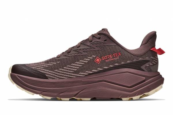HOKA Challenger ATR 8 GTX (Damen)