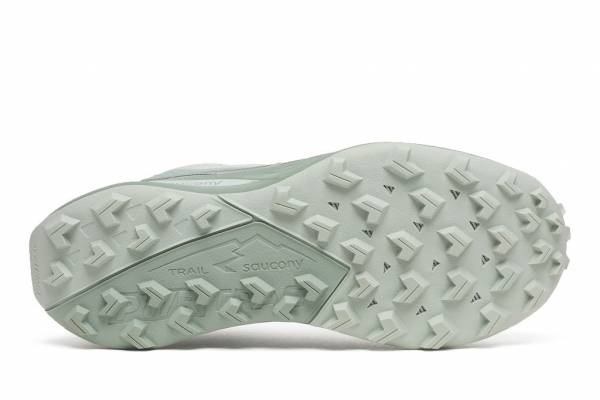 SAUCONY Peregrine 15 (Damen)