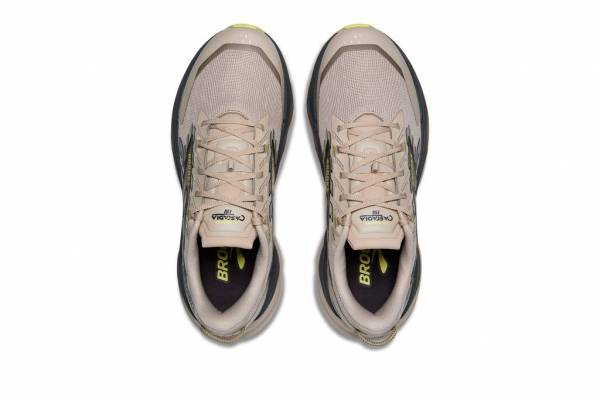 BROOKS Cascadia 19 (Herren)