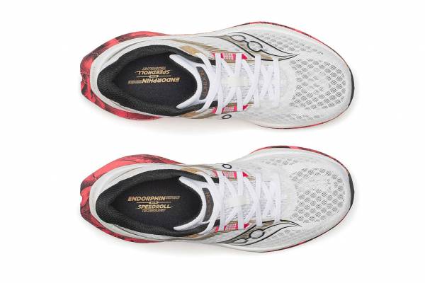 SAUCONY Endorphin Speed 5 (Herren)