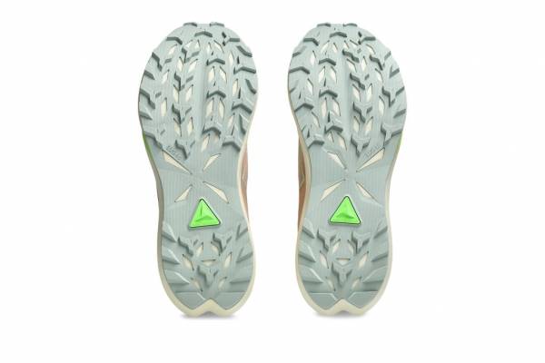 ASICS Fuji Lite 6 (Damen)