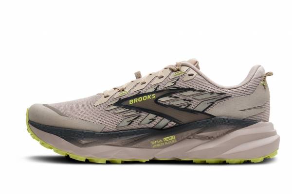 BROOKS Cascadia 19 (Herren)