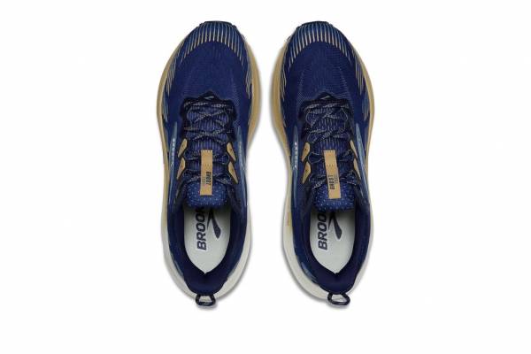 BROOKS Ghost Trail (Herren)