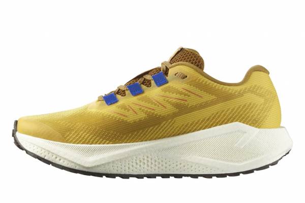 SALOMON Aero Blaze 3 GRVL (Herren)