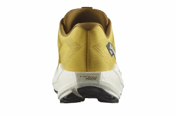 SALOMON Aero Blaze 3 GRVL (Herren)