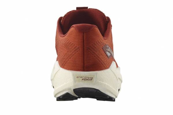 SALOMON Aero Blaze 3 GRVL (Damen)