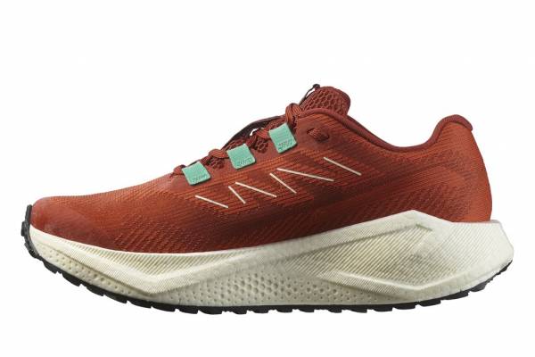 SALOMON Aero Blaze 3 GRVL (Damen)