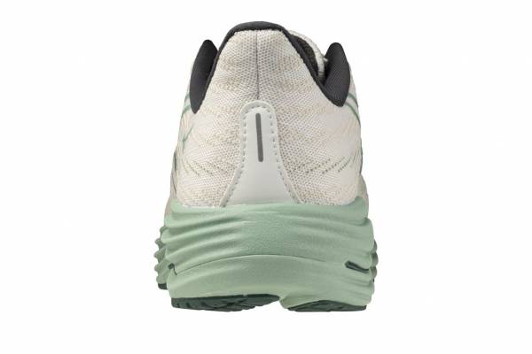 MIZUNO Wave Rider 29 (Herren)