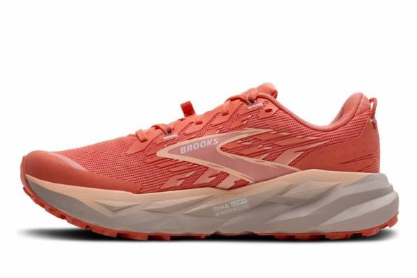 BROOKS Cascadia 19 (Damen)