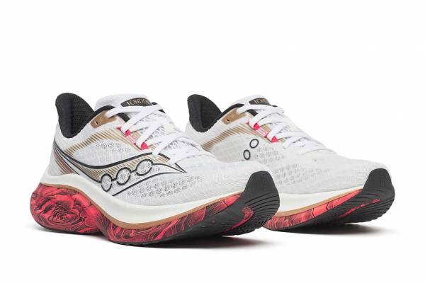 SAUCONY Endorphin Speed 5 (Herren)